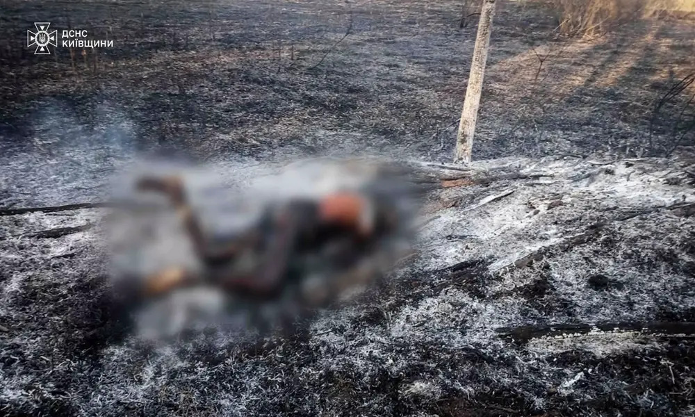 Спалювання трави на Київщині призвело до двох смертельних випадків - 1
