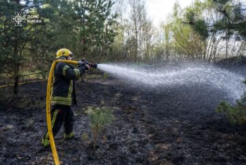 Пожежа біля озера Тягле в Києві: горіли гектари трави та очерету - 2