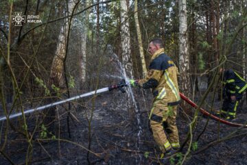 Пожежа біля озера Тягле в Києві: горіли гектари трави та очерету - 1