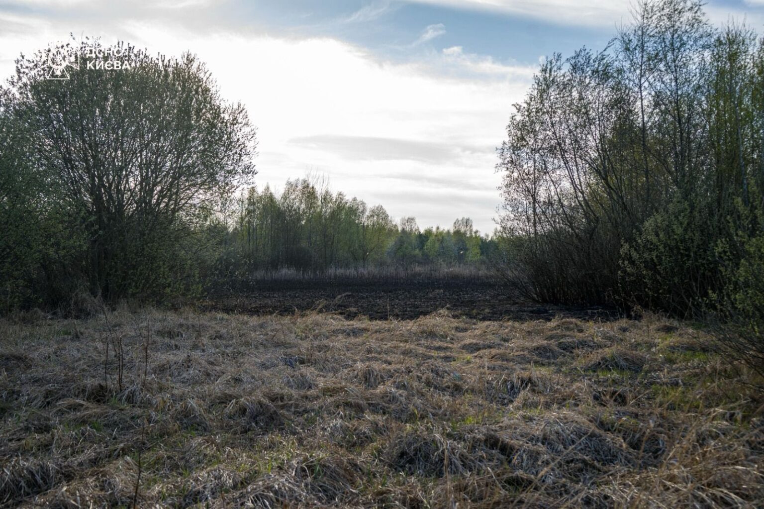 Пожежа біля озера Тягле в Києві: горіли гектари трави та очерету - 3