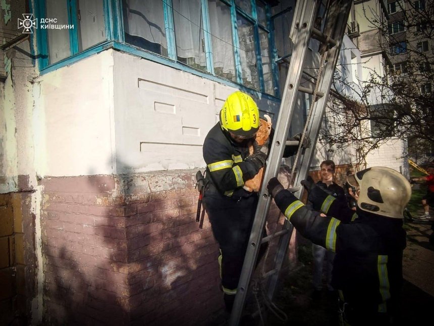 У Білій Церкві рятувальники зняли кота з дерева: подробиці та фото - 1