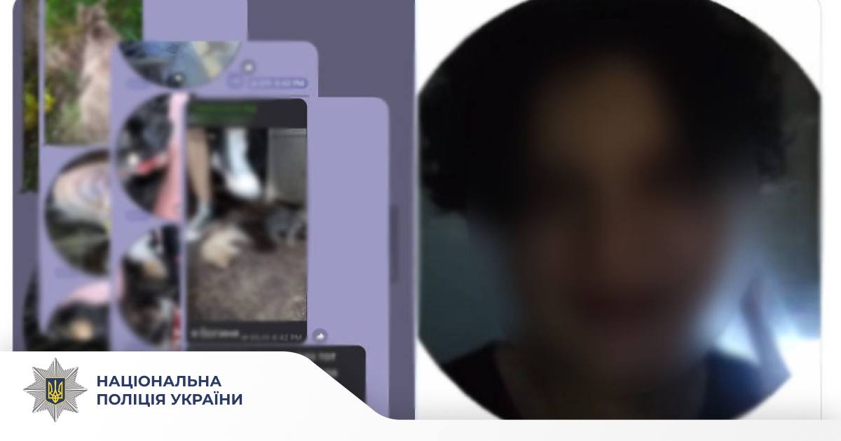 Киянин жорстоко поводився з кошеням: поліція розпочала кримінальне провадження - 1