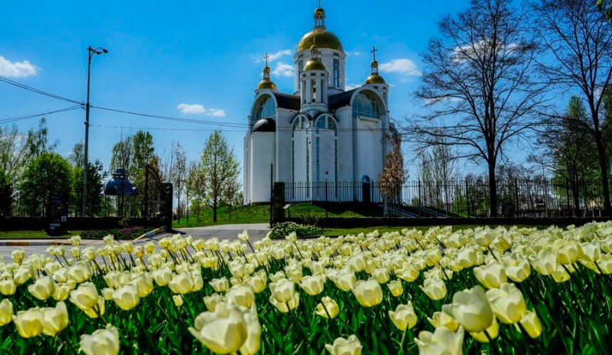 Весна розквітла у Бучі: тюльпани з Нідерландів прикрасили місто - 1