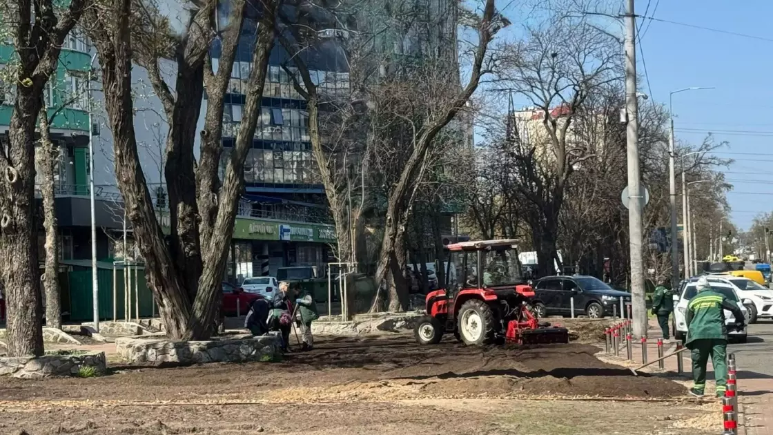У Києві розквітне Столичне шосе: висадили луки та злаки - 1