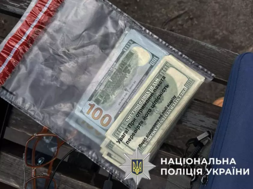 Шахраї обдурили киянку на 22 тисячі доларів через валютний обмін - 3