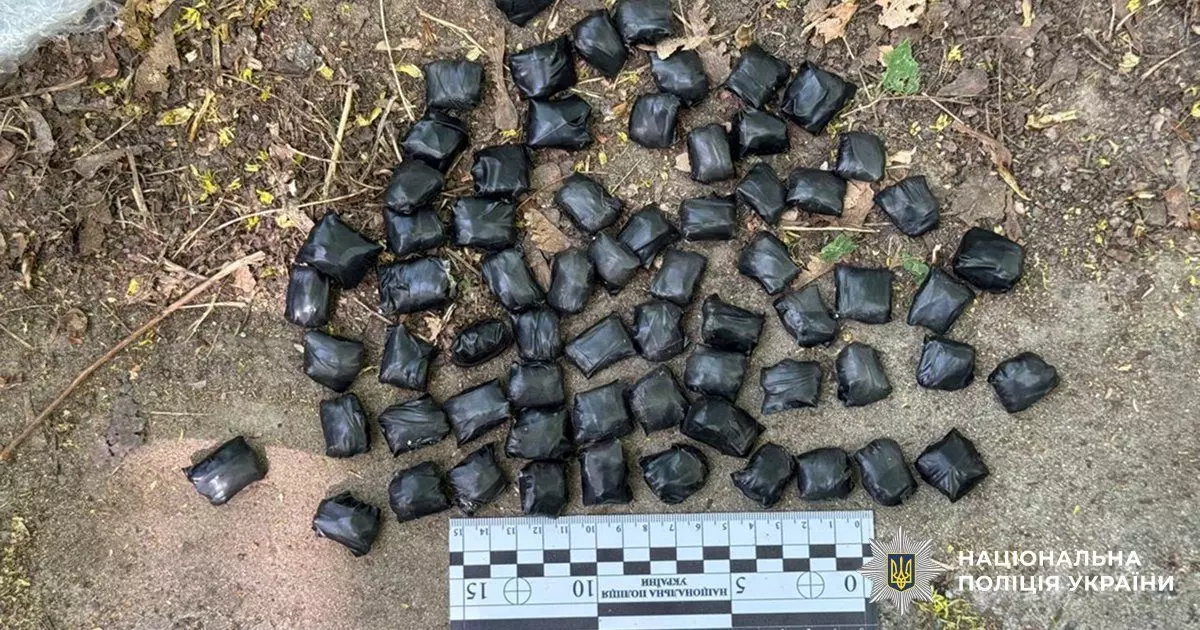 У Голосіївському парку затримали 19-річного наркозакладника: вилучено 67 згортків канабісу - 1