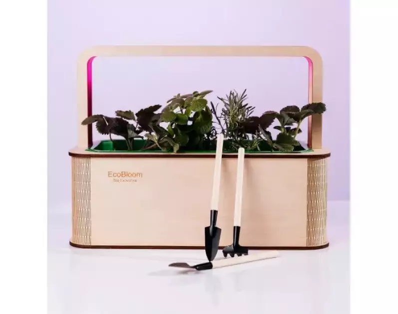 Grow box Ecobloom — мамин мінісад
