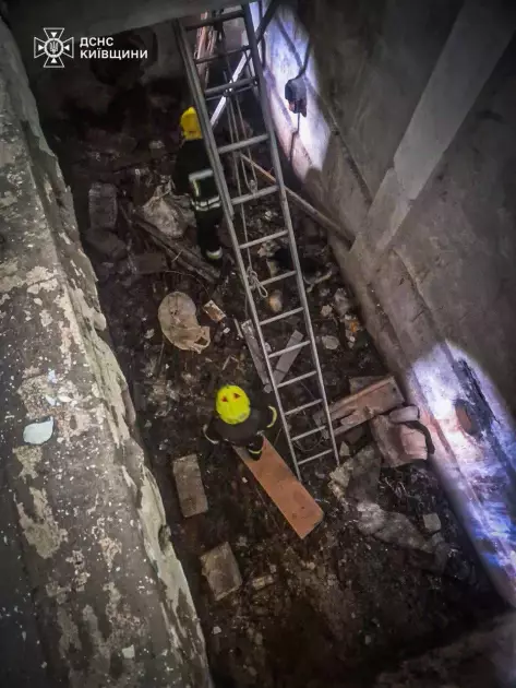 На Київщині врятували собак із закинутого водогону: як проходила операція - 1