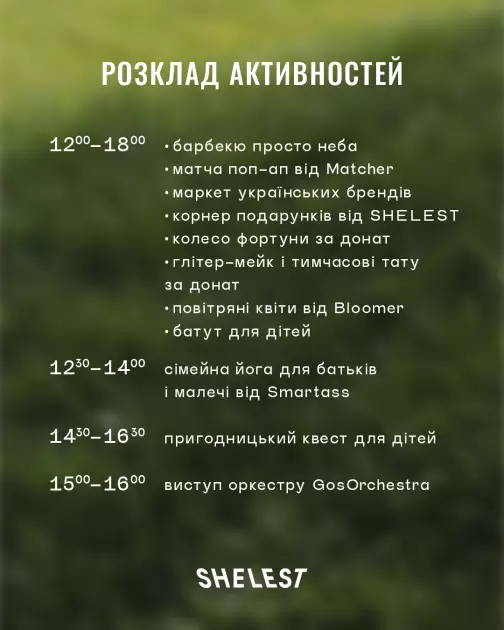 Пікнік з великою метою: як відпочинок за Києвом перетворюється на добру справу - 1
