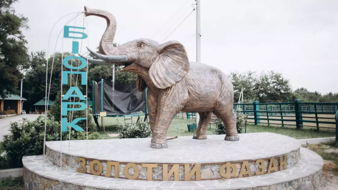 Біопарк «Золотий фазан»: гармонія з природою