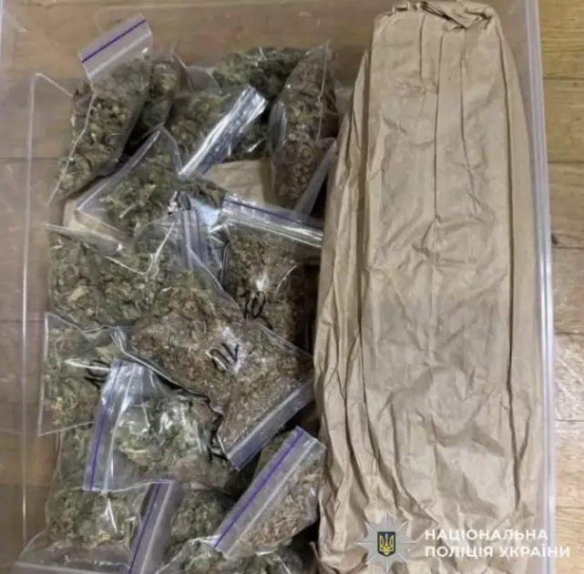 Від лампочки — до криміналу: у Києві судитимуть чоловіка за розповсюдження психотропів поштою - 3