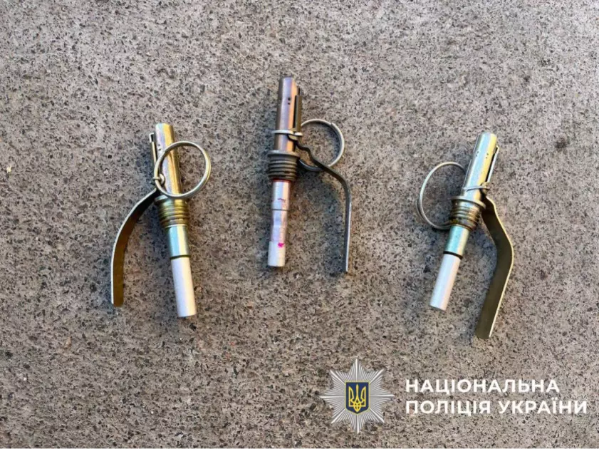 Київщина: виявлено склад зброї та боєприпасів, чоловіку загрожує до 7 років в'язниці - 1