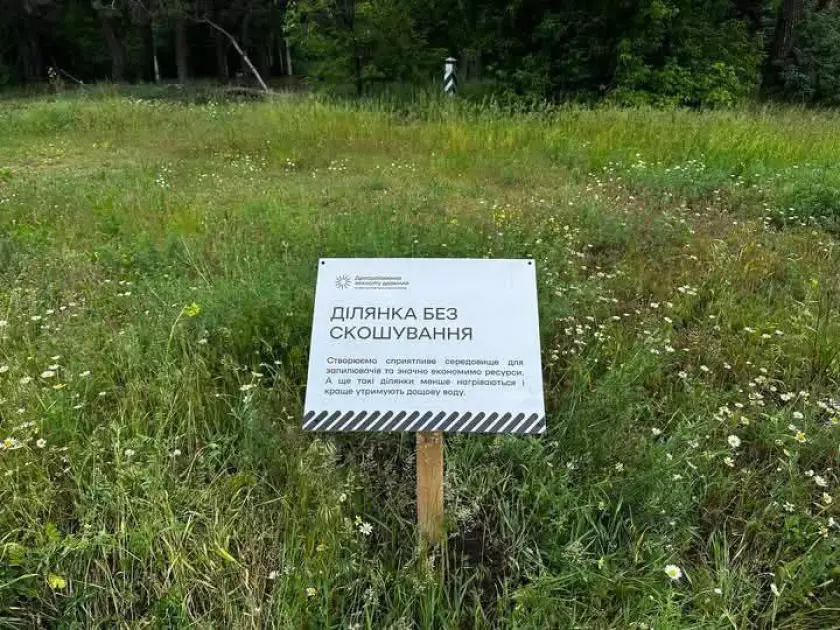 Київ впроваджує нові «дикі» зони: чому не коситимуть траву цього літа? - 1