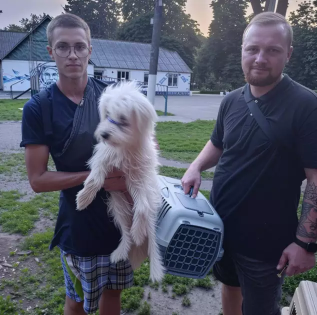 Просиділи кілька діб без їжі та води: на Київщині врятували собаку з цуценятами - 1