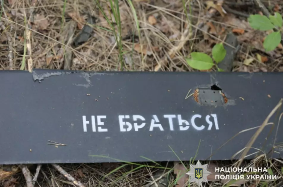 У Київській області знайшли два ворожі БпЛА після нічної атаки - 3