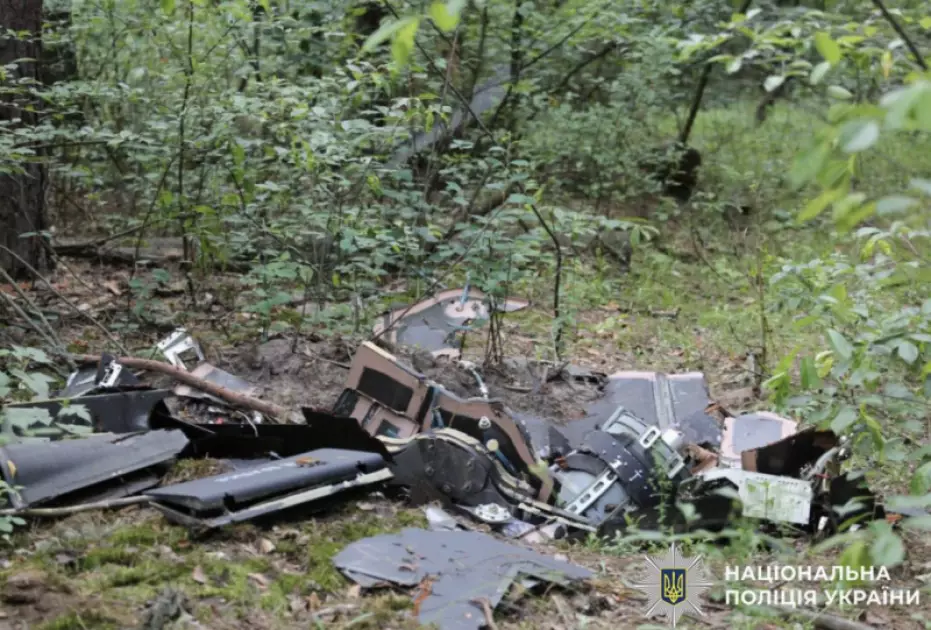 У Київській області знайшли два ворожі БпЛА після нічної атаки - 1