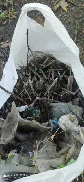 Небезпечна лісосмуга на Воскресенці: мешканці просять допомоги у Кличка - 1