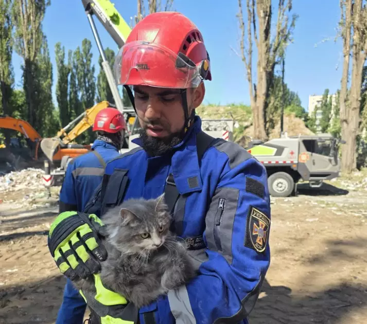 У Києві після ракетної атаки врятували десятки домашніх тварин - 2