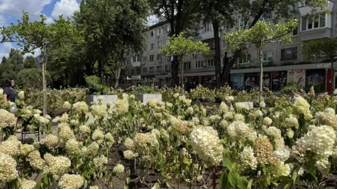 Замість МАФів — зелена зона: на вулиці Виговського з’явився новий простір для відпочинку - 2