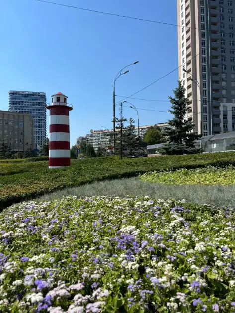 У всіх районах столиці з’явилися патріотичні квіткові композиції до 34-го Дня Незалежності - 5