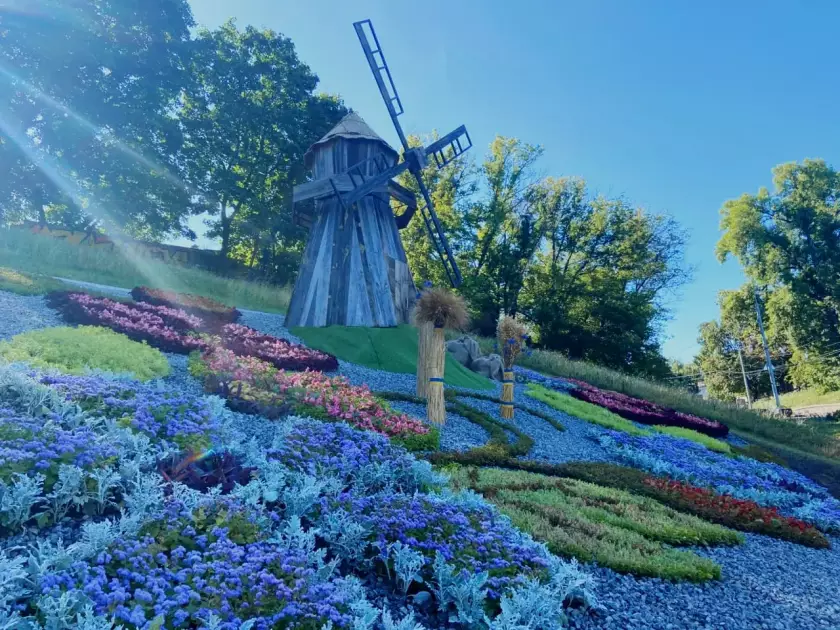 У всіх районах столиці з’явилися патріотичні квіткові композиції до 34-го Дня Незалежності - 2