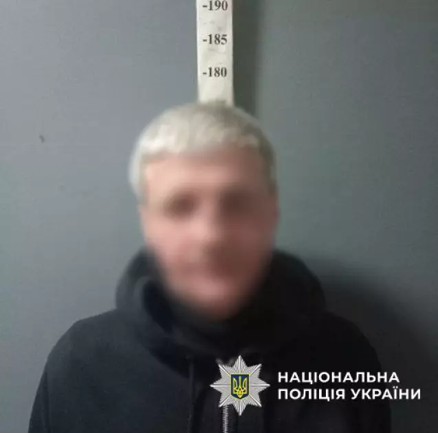 Ножове поранення через зауваження: киянина відправили за ґрати на 6 років - 1