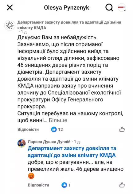 У Києві вирубали ділянку зелених насаджень: справа дійшла до прокуратури - 2