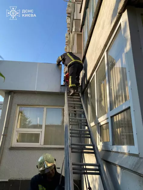 Рятувальники зняли з піддашку дівчину-підлітка, що впала з вікна у столиці - 2