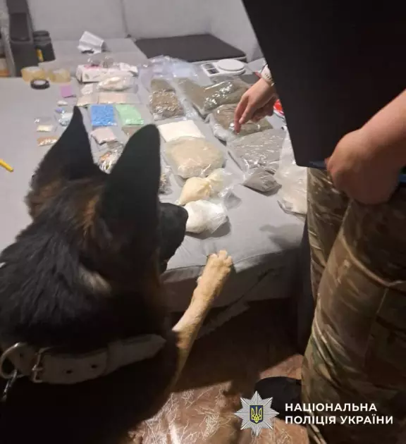 У Києві та Дніпропетровщині знешкодили міжрегіональний наркосиндикат на 4 млн грн - 2