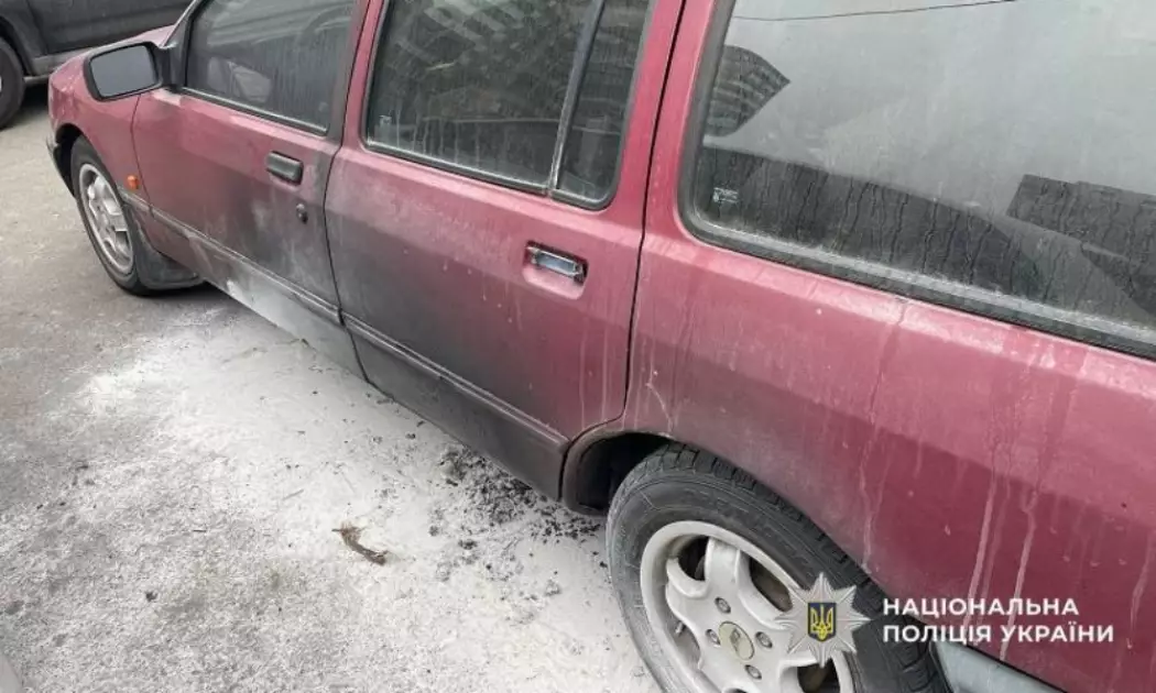 У Києві жінку засудили до трьох років за підпал двох авто - 2