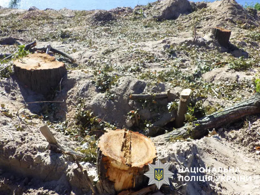 Поліція розслідує самовільне будівництво та порушення природоохоронної зони у Дніпровському районі - 6