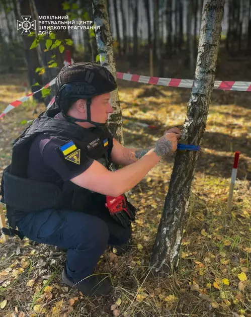 На Київщині сапери знешкодили гранату РГД-5 на розтяжці в лісі Бучанського району - 1