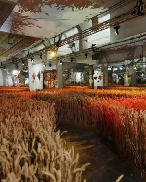 Ukraine WOW: столиця побачить рідкісні стародруки та 110 тисяч колосків у масштабній виставці - 3