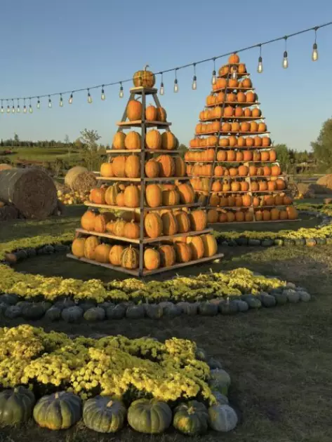 Осінь у «Добропарку»: гектар гарбузів, казкові ліхтарики та гарбузова каша для гостей - 4