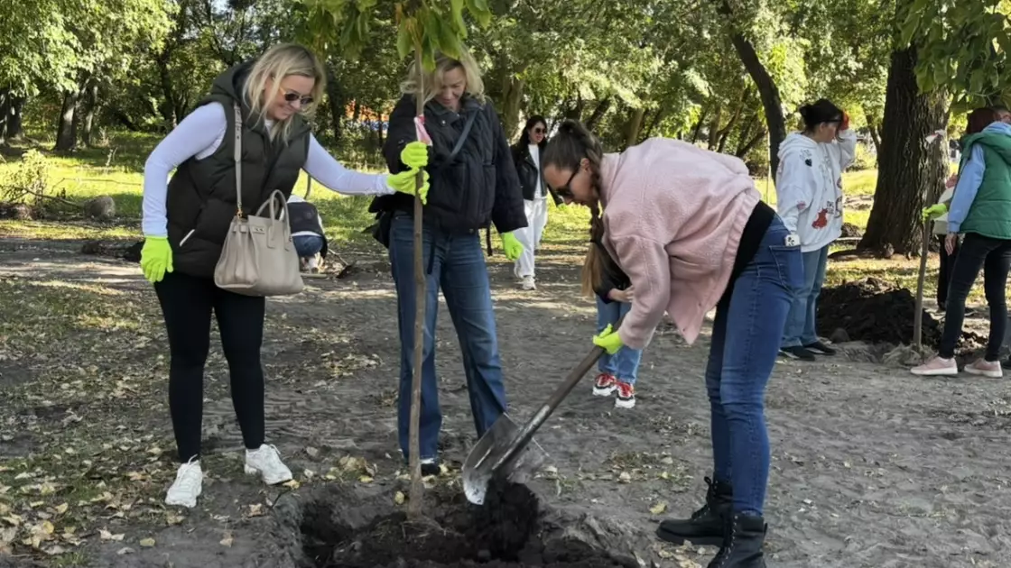 Зелений апґрейд столиці: на Долобецькому острові висадили майже півсотні катальп - 1