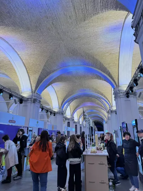 У Києві стартував фестиваль ProCheese Awards 2025: найбільша колекція сирів України - 6