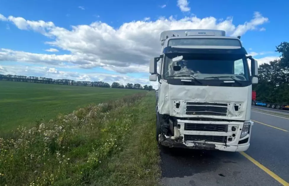 На Київщині судитимуть водія фури, через якого загинула родина з 10-річною дитиною - 2