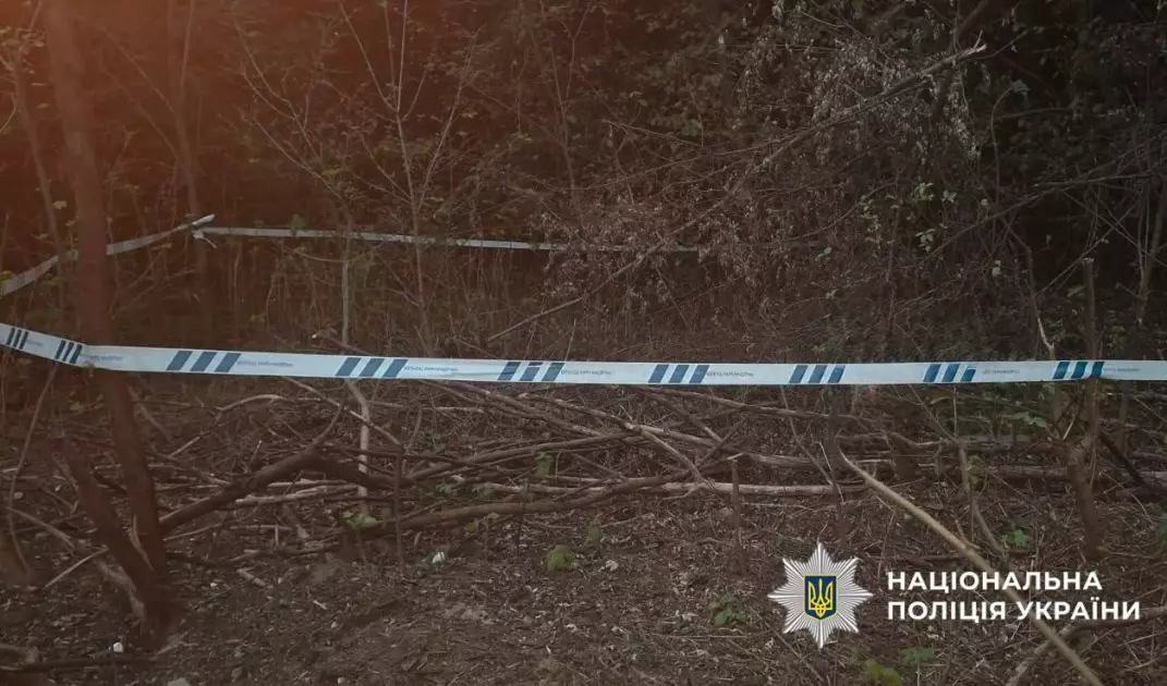 Знайдену в лісопарку бойову частину БпЛА знешкодили вибухотехніки Києва - 1