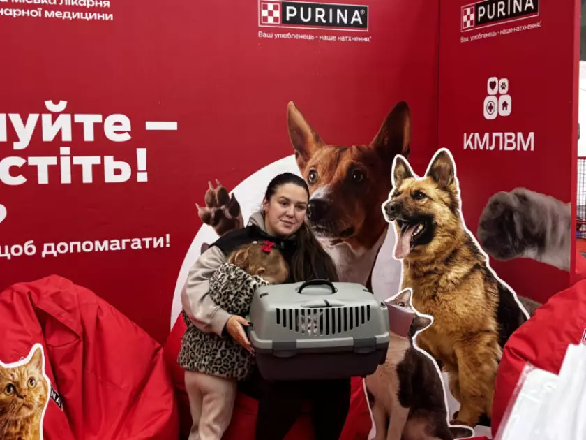 Дні адопції у Києві: тварини з притулків шукають турботливих господарів - 6