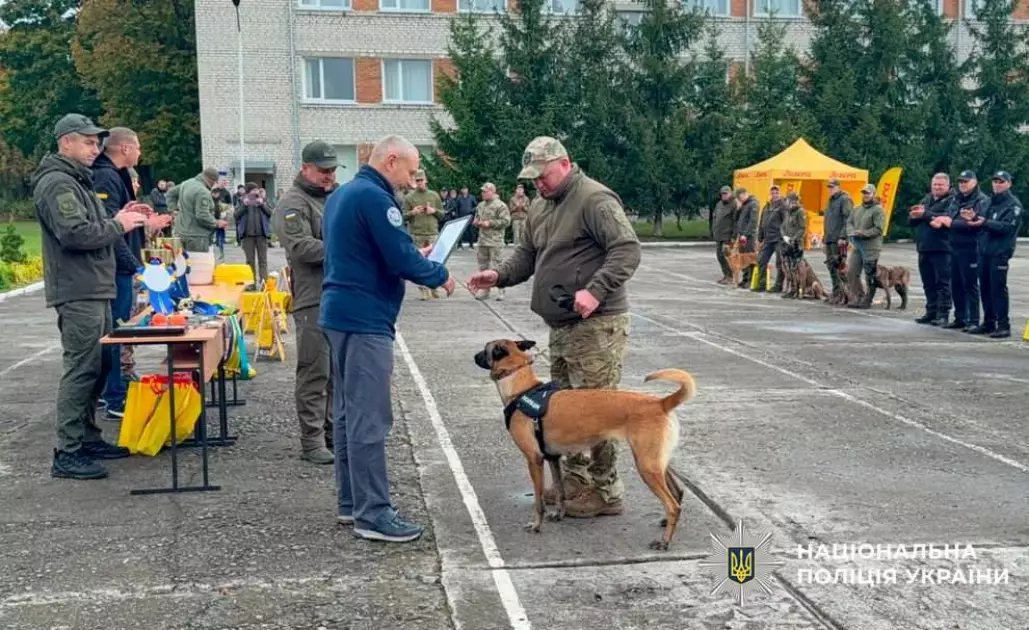 Вівчарка поліції Києва Чейз стала однією з найкращих службових собак України - 1