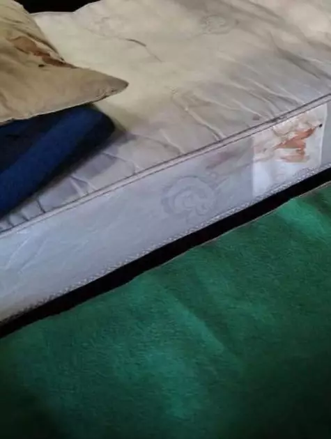 Раміна Есхакзай оприлюднила фото з розподільчого центру ТЦК у Києві — бруд, кров і антисанітарія - 1