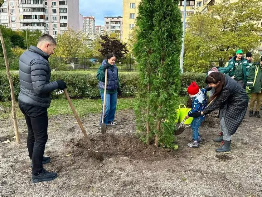 Сквер у Дарницькому районі прикрасили вічнозеленими туями — завершили благоустрій локації - 1
