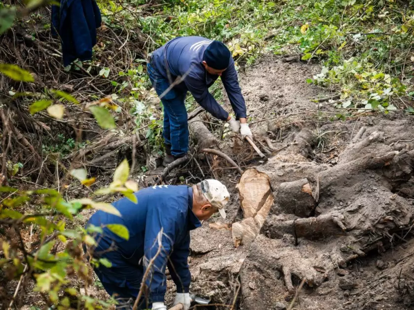 КП «Плесо» прибрало сміття та повалені дерева зі Святошинського каналу - 1