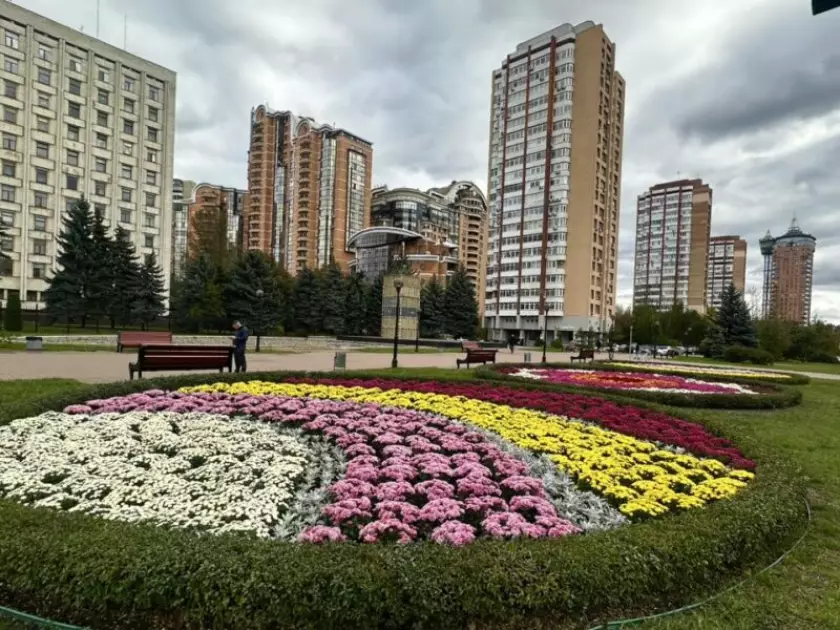 Осіння казка в центрі столиці: на площі Лесі Українки розквітли хризантеми - 6