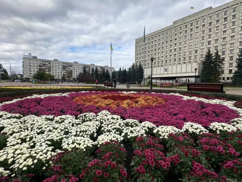 Осіння казка в центрі столиці: на площі Лесі Українки розквітли хризантеми - 1