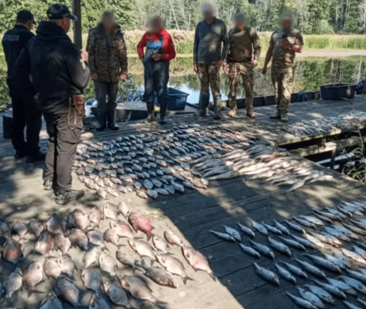 На човні без GPS і з 17 сітками: у Чорнобилі впіймали браконьєрів із уловом на мільйони - 1