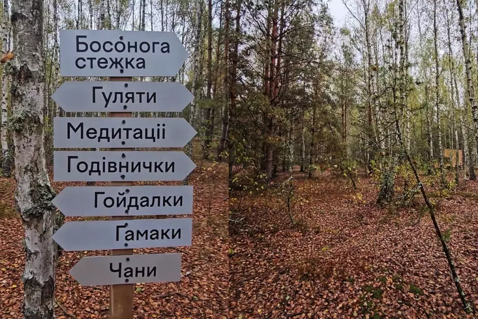 Коли місто втомлює до межі: УЛІС.Дудки - тиша, що лікує втому - 4
