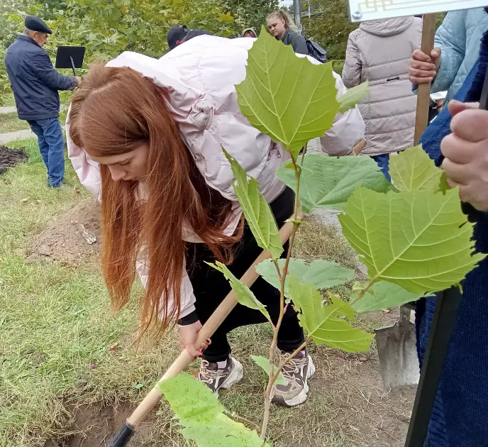 У парку «Нивки» висадили «Платанову алею Героїв» на честь загиблих захисників України - 3
