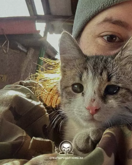 Генштаб ЗСУ опублікував фото захисників із котами та собаками, врятованими на війні - 1