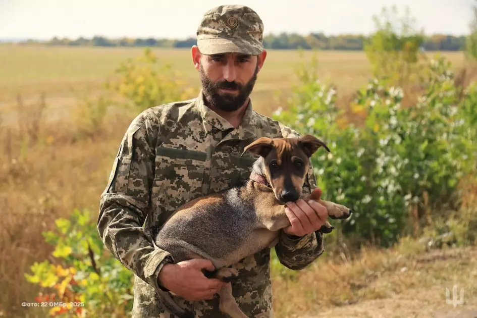 Генштаб ЗСУ опублікував фото захисників із котами та собаками, врятованими на війні - 3